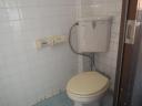 imgp2953.JPG